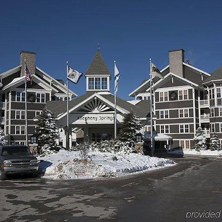 Allegheny Springs Snowshoe Buitenkant foto