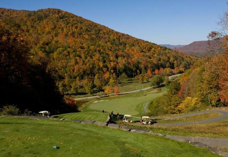 Allegheny Springs Snowshoe Buitenkant foto