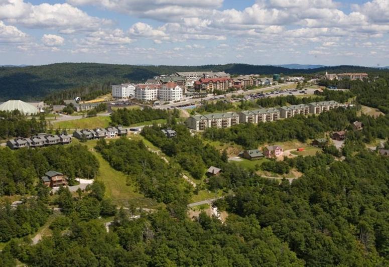 Allegheny Springs Snowshoe Buitenkant foto