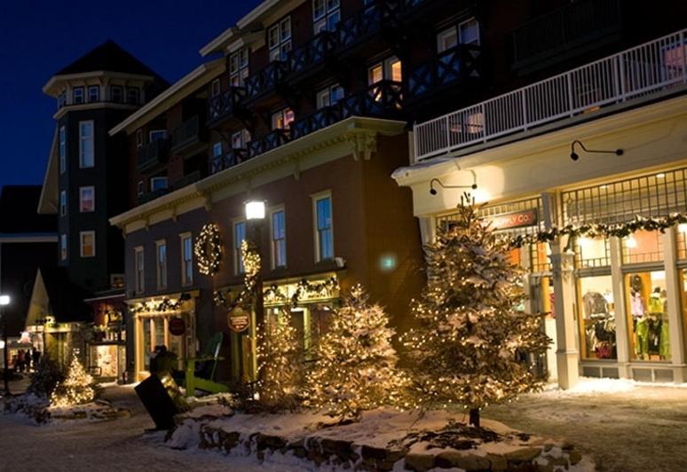 Allegheny Springs Snowshoe Buitenkant foto