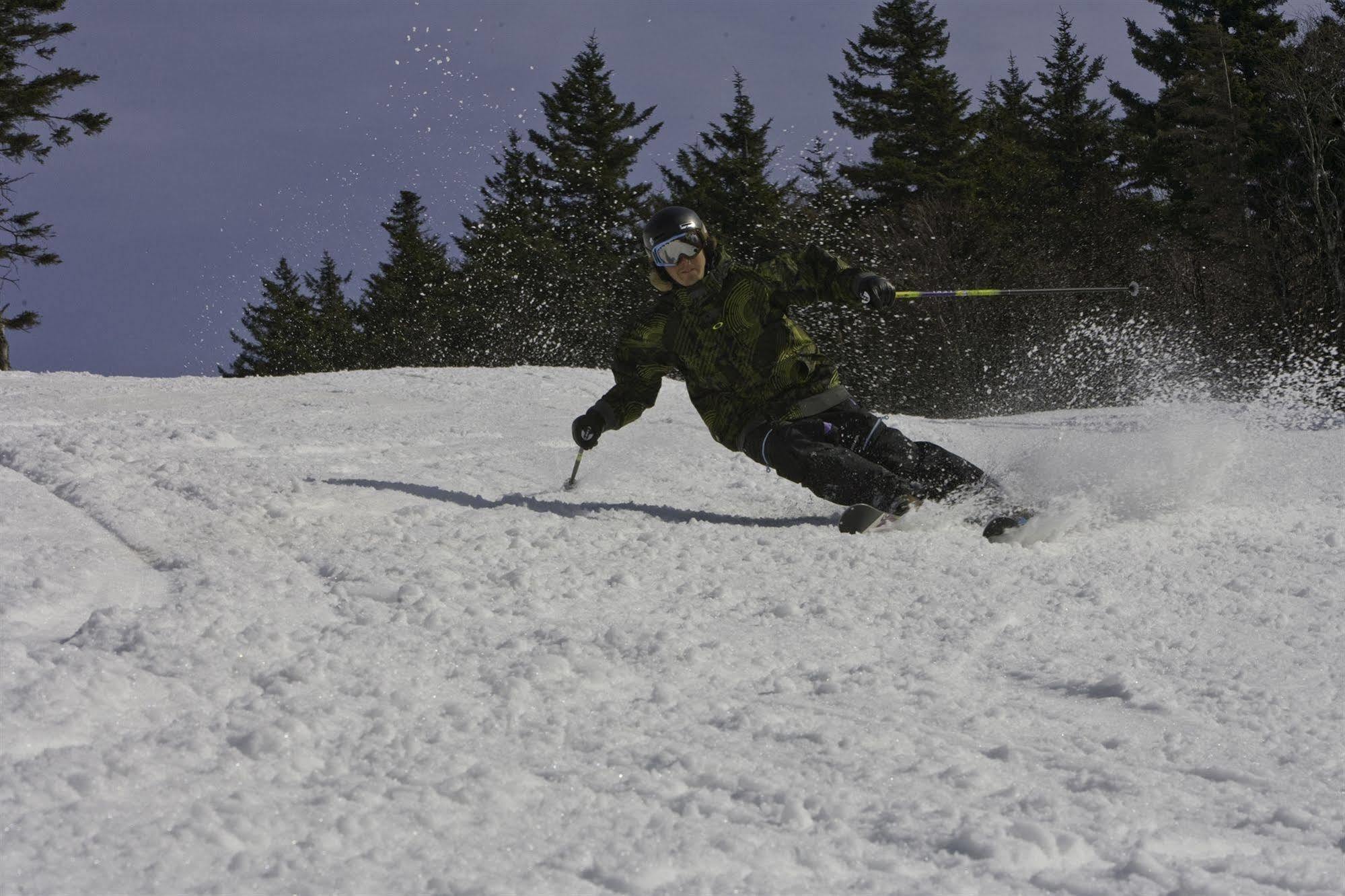 Allegheny Springs Snowshoe Buitenkant foto