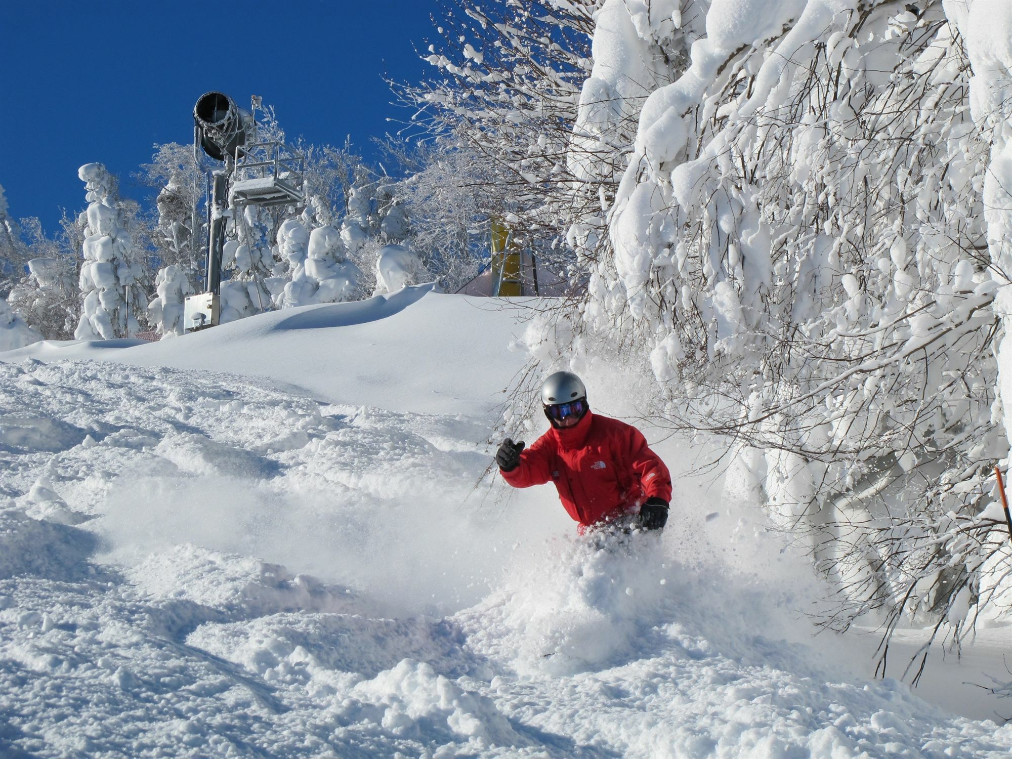 Allegheny Springs Snowshoe Buitenkant foto