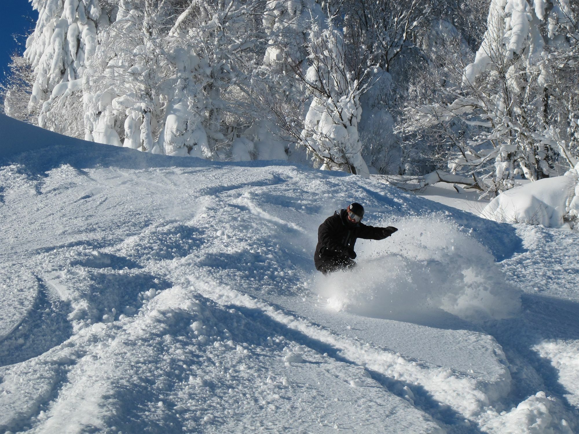 Allegheny Springs Snowshoe Buitenkant foto
